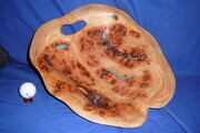 Fir Burl with Torquoise Inlace (SOLD)