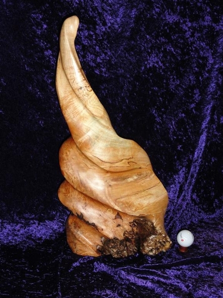 Flame Beauty - Spalted Maple