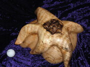 Spalted Maple Sea Star